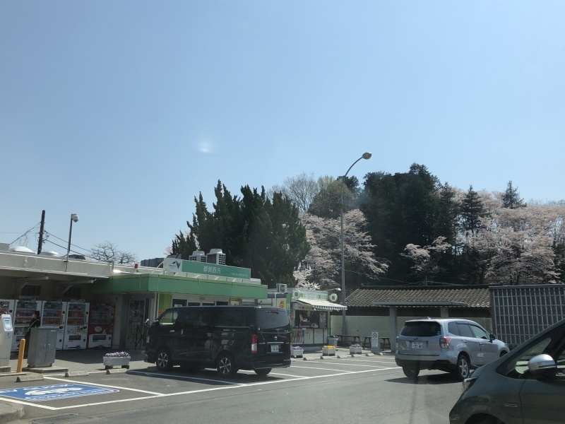 2年目の桜_a0129492_17431212.jpeg
