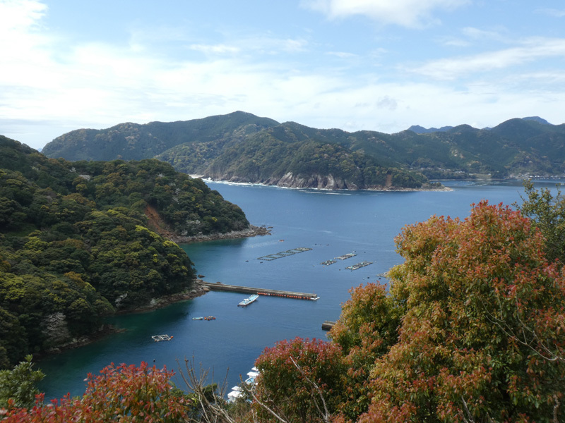 尾鷲〜熊野市間のリアス式海岸を行く_d0383596_23114462.jpg