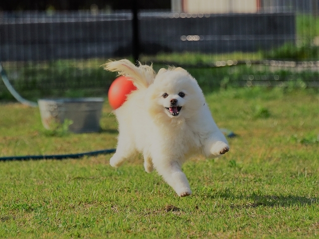 今日も明日も明後日も_d0360206_00345935.jpg