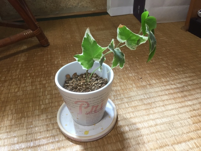 ほんとは土から作りたい。_c0180209_13582203.jpeg