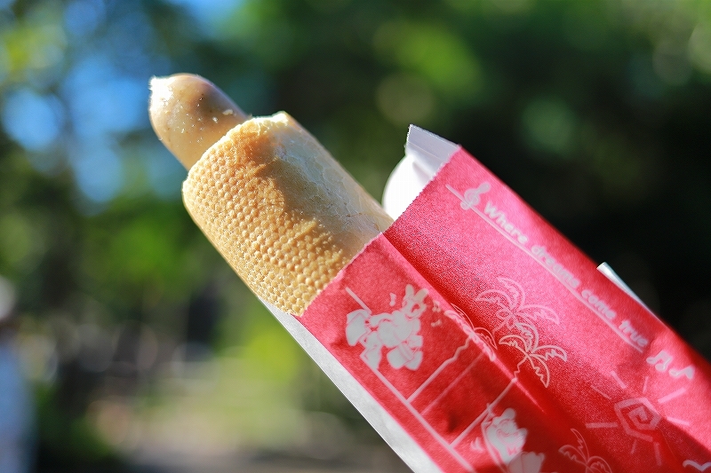 【東京ディズニーシー】- ハロー、ニューヨーク! - (1)_f0348831_13472504.jpg