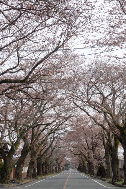 葛尾村＆浪江町給餌同行　#14_c0009934_16162059.jpg