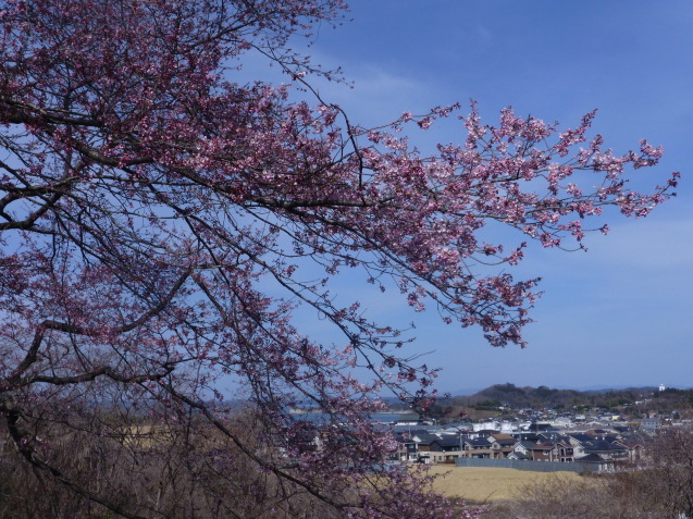4月、5月レッスンお休みのお知らせ_f0240834_13111682.jpg