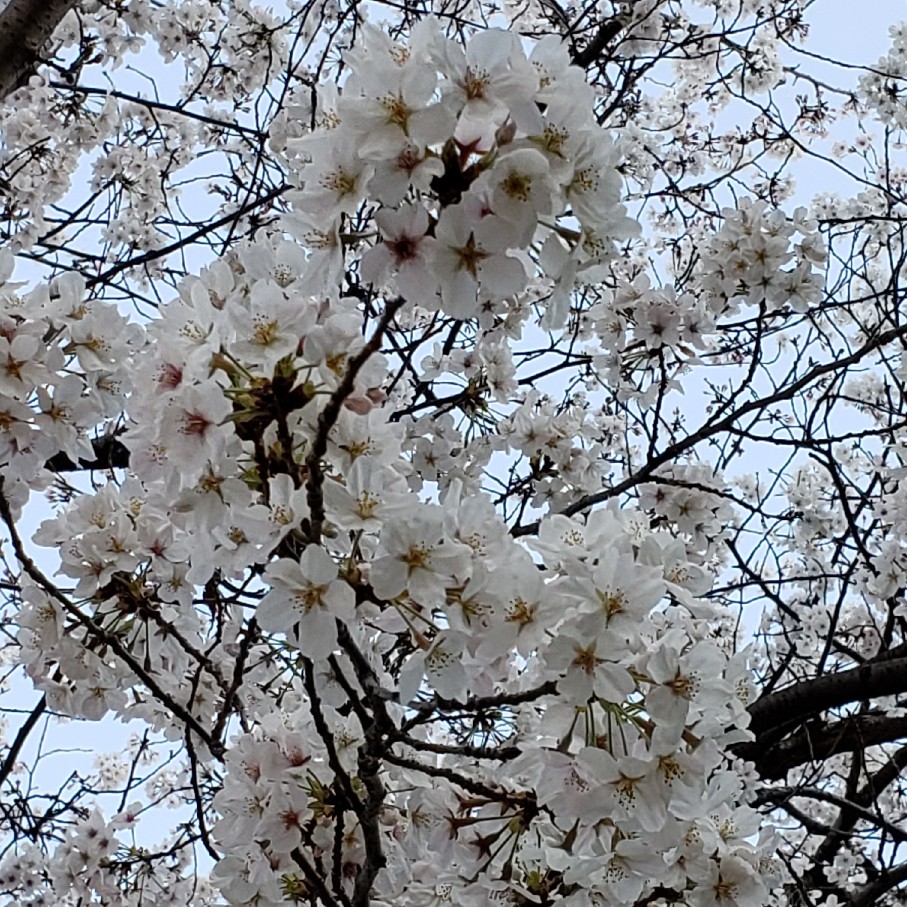 44に55_a0105740_06524503.jpg
