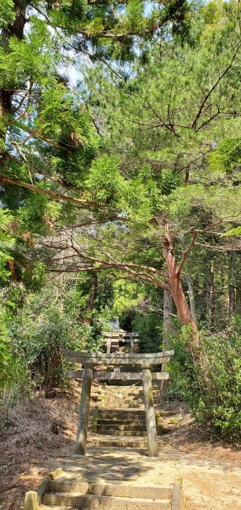 4月4日の桜巡り／菅原神社　＠福島県須賀川市_f0048546_08310682.jpg