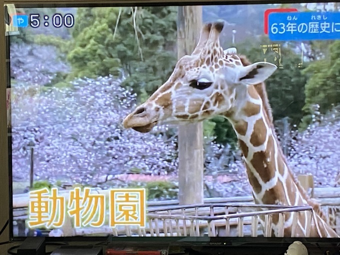 さようなら みさき公園 Opaな日々