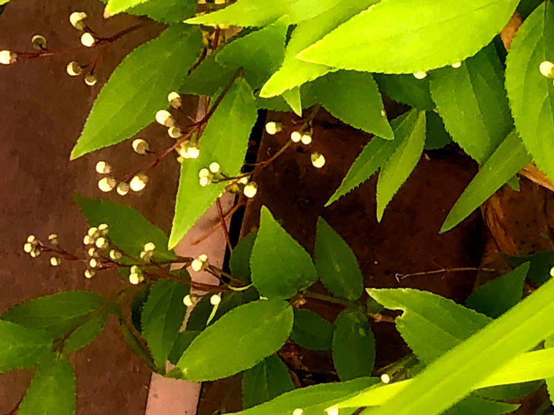 花冷えの涙雨 時間倉庫