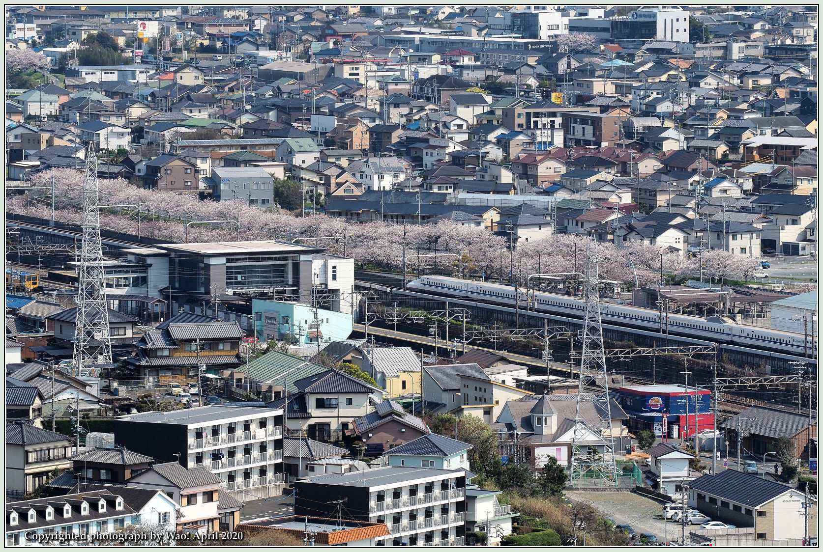 桜新幹線行ったり来たり_c0198669_17560275.jpg