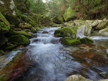 花乱の滝から金山へ 福岡市早良区 風来坊のアウトドアライフ