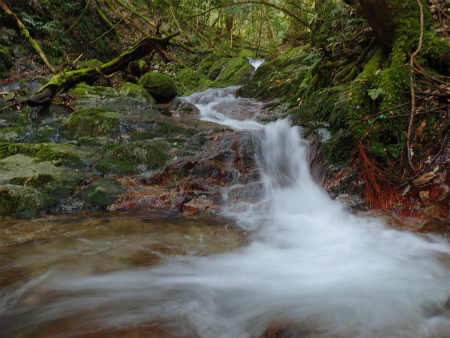 花乱の滝から金山へ 福岡市早良区 風来坊のアウトドアライフ