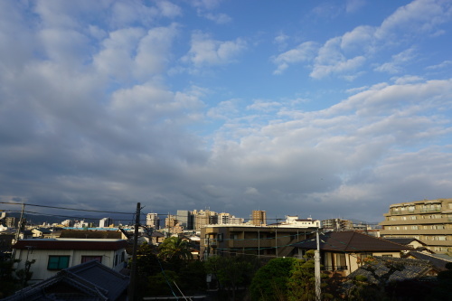 朝歌4月5日_c0169176_07574907.jpg