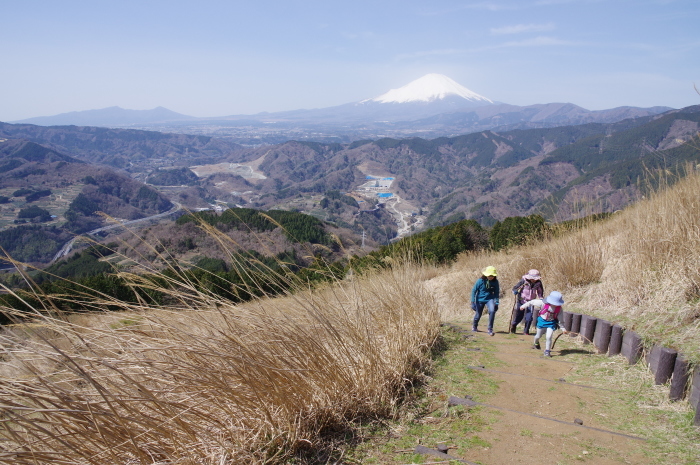 みんなで大野山 3 21 気まぐれ バロン みんなで大野山 3 21 気まぐれ バロン