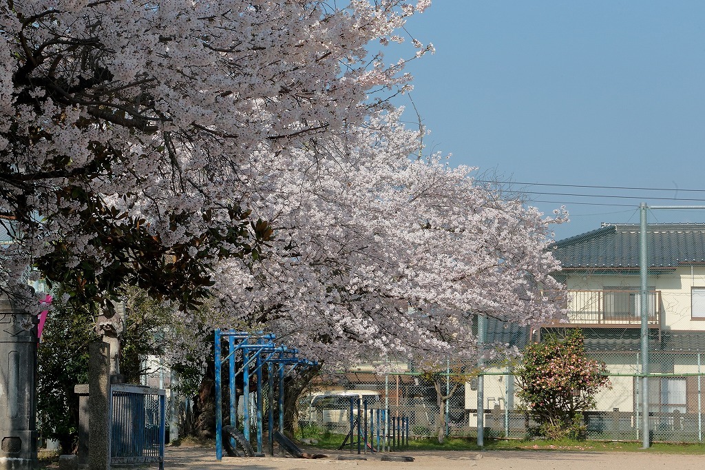 福知山市立大正小学校_a0170082_20080921.jpg