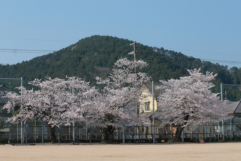 福知山市立大正小学校_a0170082_20082942.jpg