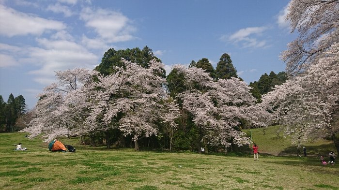 #127) 3月末と4月最初の週末、外出は1時間のみ!_c0222083_06402664.jpg