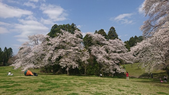 #127） 3月末と4月最初の週末、外出は1時間のみ！_c0222083_06402664.jpg