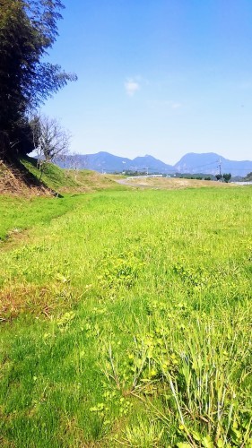 削って作って_d0195183_01172868.jpg