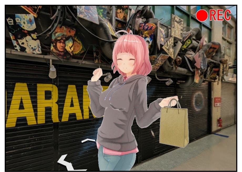 外出自粛してストリートビューで旅行してみた_f0205396_20460989.jpg