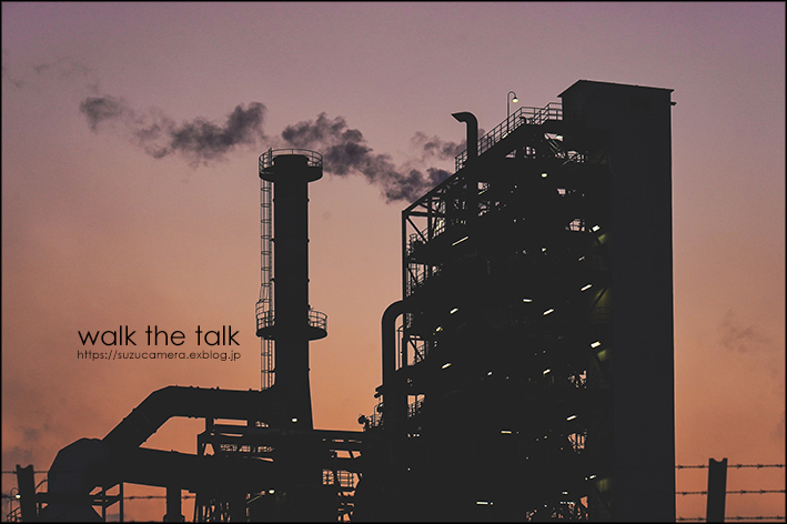 walk the talk_f0100215_21035449.jpg