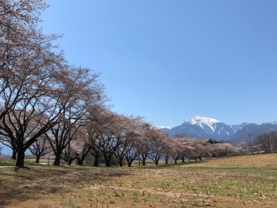 お花見ドライブ_f0019247_15473389.jpg