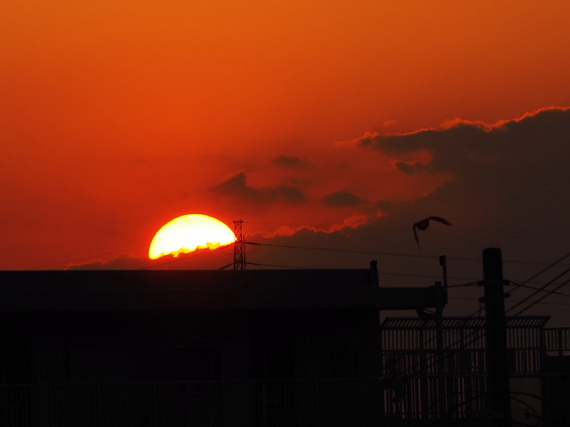 【明日のための、落陽】明日にかける橋、落陽、夕陽が泣いている、Sun Down_b0008655_18414207.jpg