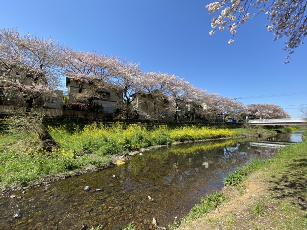 zoomなどのweb会議で大切だと思うこと_f0347877_17164305.jpeg