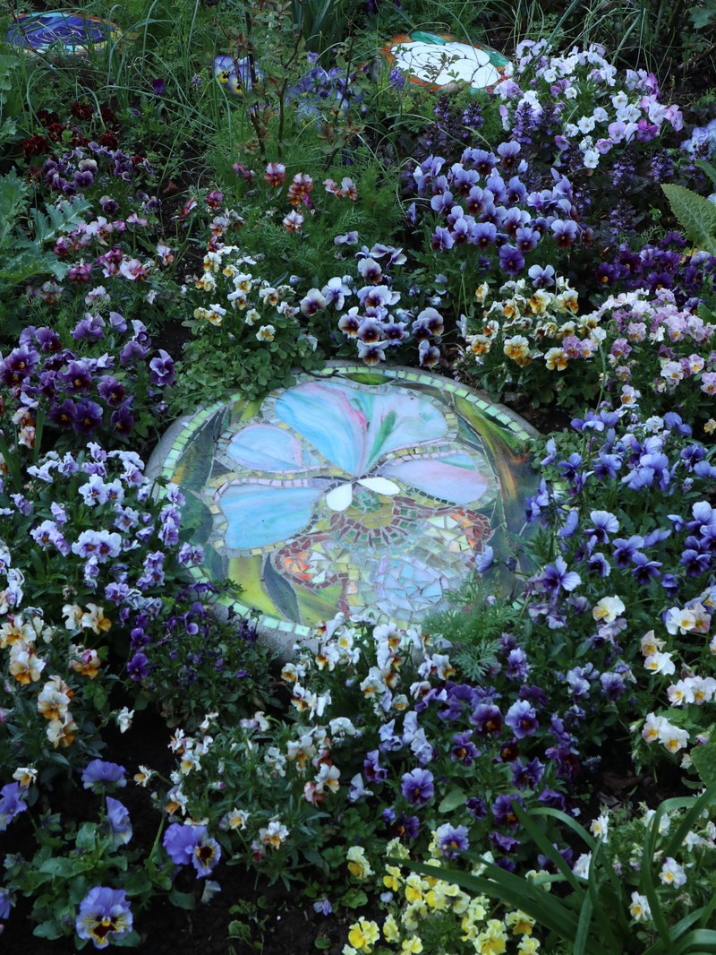チューリップを頂きました 幸せだなぁ あけの秘密の花園