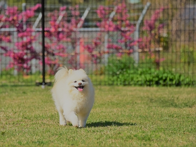 工事中につき_d0360206_00124553.jpg