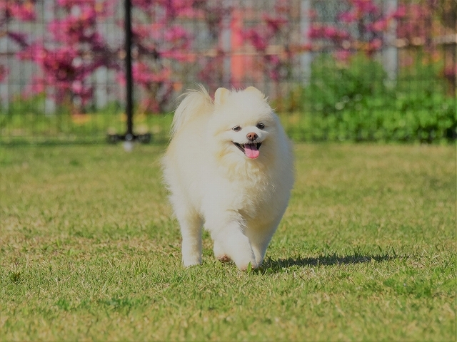 工事中につき_d0360206_00125297.jpg