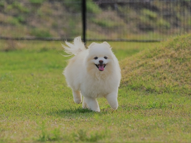 苦手なアレ_d0360206_23373825.jpg