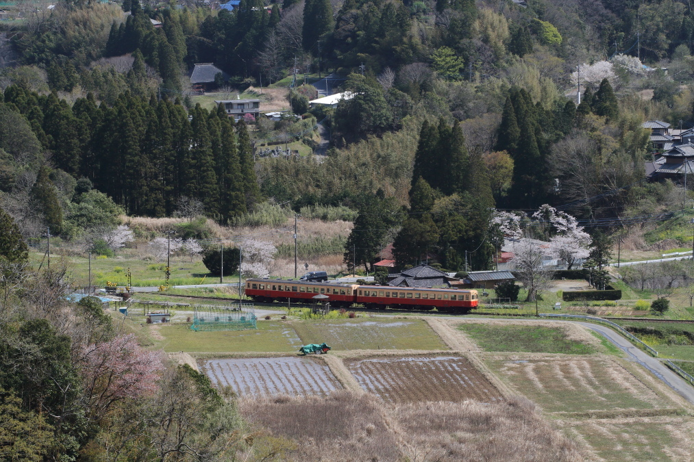 日本の山里、日本の春 - 2020年桜春・小湊鉄道 -_b0190710_22390894.jpg