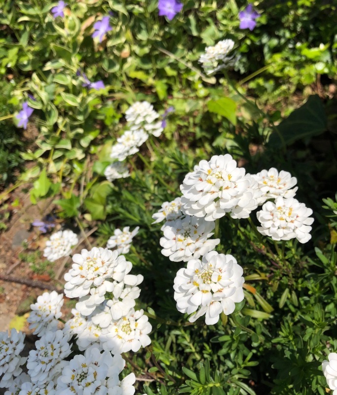 4月_d0086022_10022569.jpg