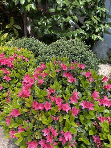 【 Air エール 空気】_d0170823_16364274.jpg