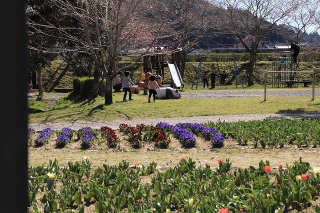野原公園散策(その1)(撮影:3月20日)_e0321325_19311296.jpg