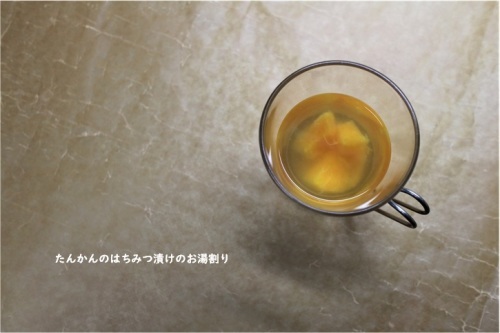 無駄を無くす 果物のはちみつ漬け_e0343145_16280979.jpg