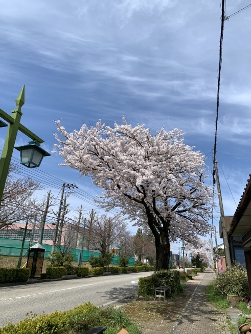 お天気良いよ_c0327752_16552062.jpeg