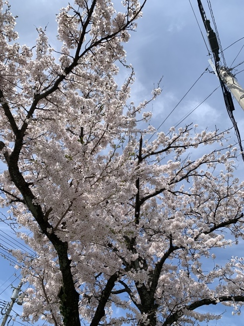 お天気良いよ_c0327752_16554897.jpeg