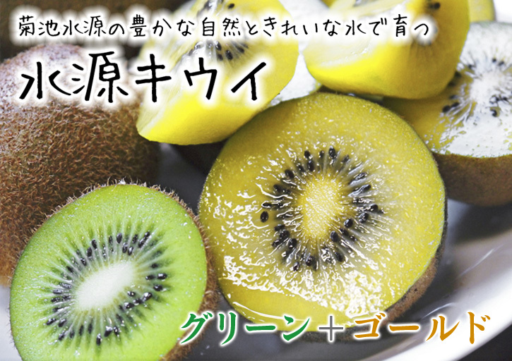 キウイの芽吹き（2020）　今年も完全無農薬、無化学肥料で育てます！_a0254656_16572878.jpg