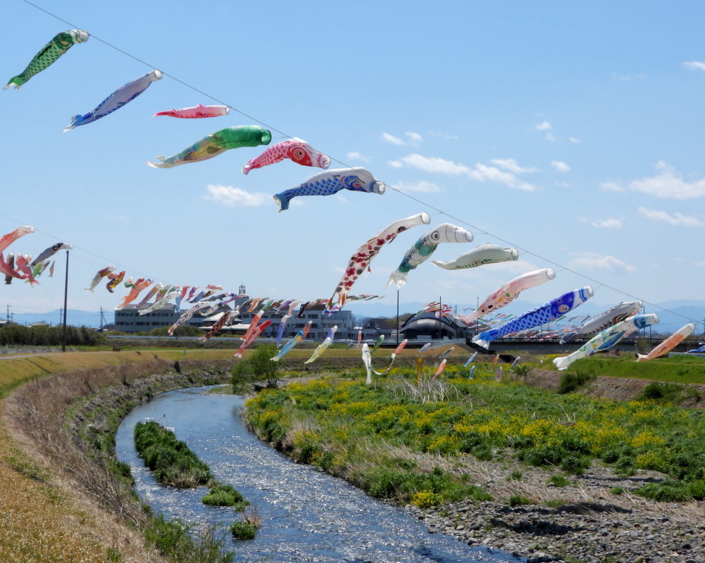 青い空に香る風 とくれば・・・・鯉のぼり_c0305565_17293134.jpg