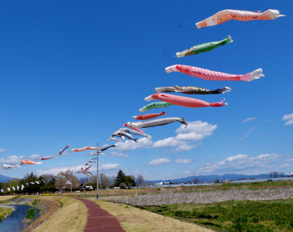 青い空に香る風 とくれば・・・・鯉のぼり_c0305565_17294321.jpg