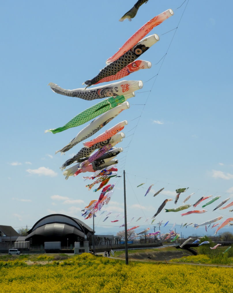 青い空に香る風 とくれば・・・・鯉のぼり_c0305565_17300175.jpg