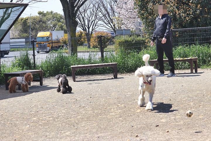 ちょいと豊川市まで・・・。_b0111376_15361142.jpg