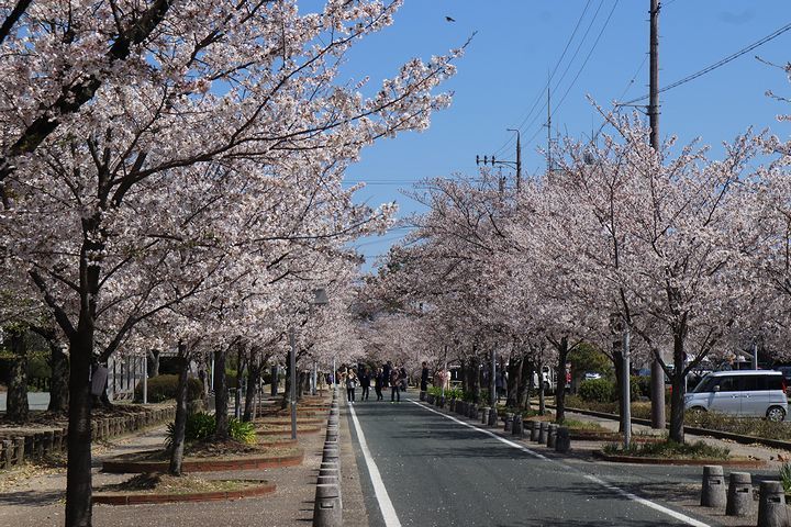 ちょいと豊川市まで・・・。_b0111376_15540494.jpg
