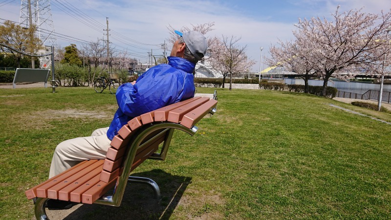 中川口緑地 満開を迎えたさくらの紹介R2.4.7_d0338682_11544632.jpg