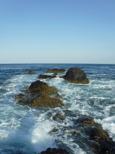 生月島へ_d0195183_13325422.jpg