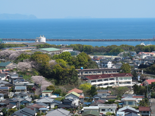 海咲diary　2020春_f0197985_13202343.jpg