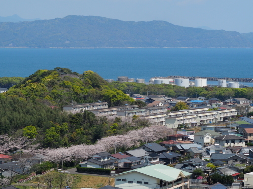 海咲diary　2020春_f0197985_13221540.jpg