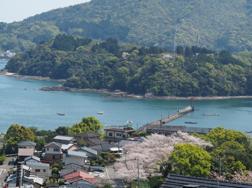 海咲diary　2020春_f0197985_13235700.jpg