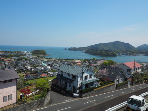 海咲diary　2020春_f0197985_13261109.jpg