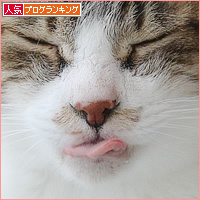 山盛りのちゅ~る_a0389088_07583589.jpg